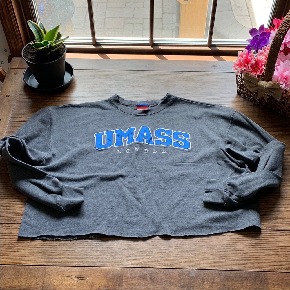 Champion Gray Sweatshirt with Blue UMass Lowell crop top